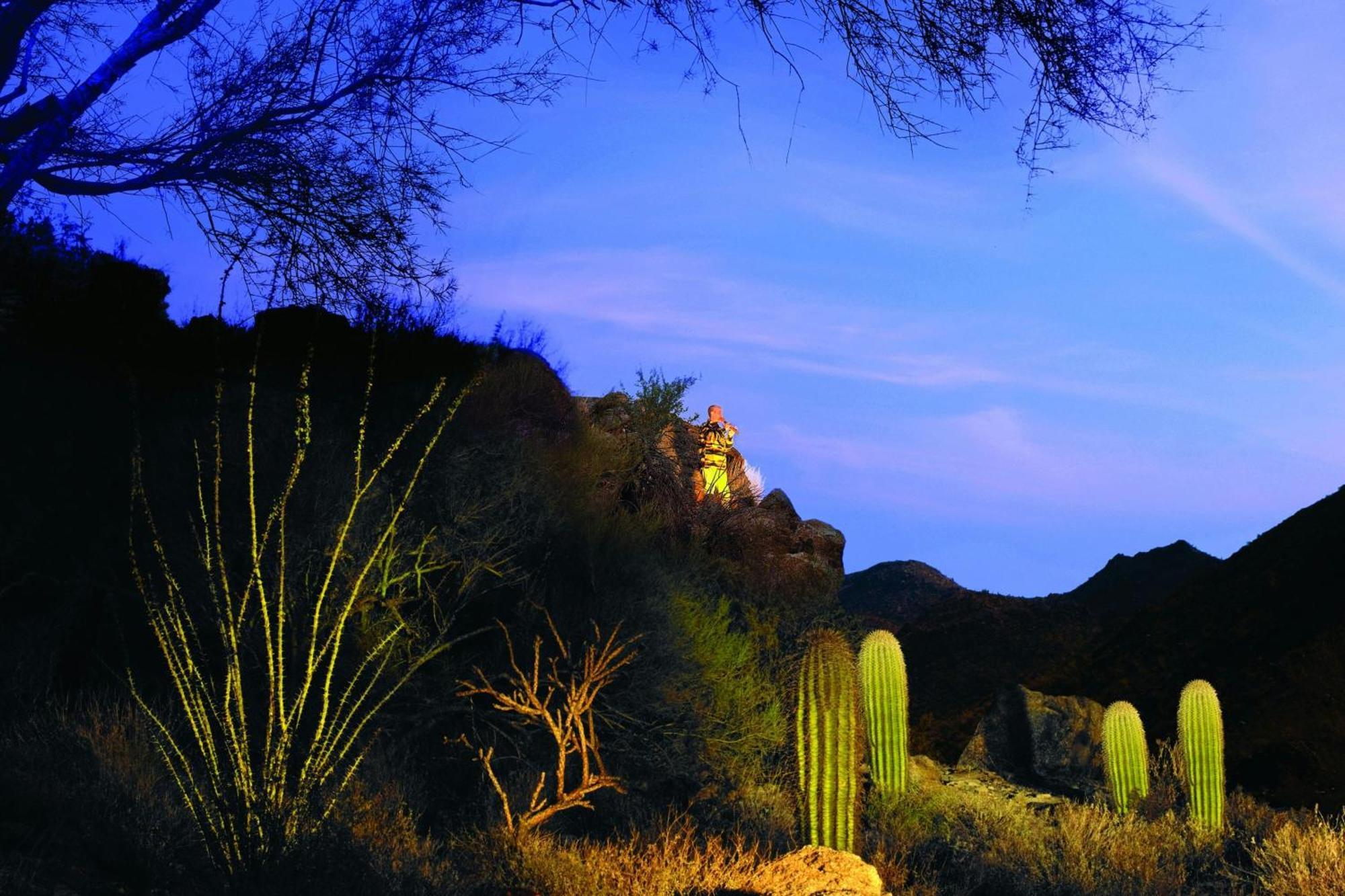 The Ritz-Carlton, Dove Mountain Ξενοδοχείο Marana Εξωτερικό φωτογραφία